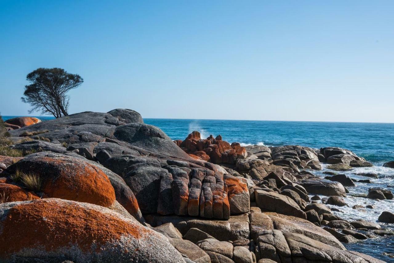 Villa Jasper Bay Of Fires Binalong Bay Esterno foto